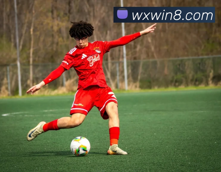 万向娱乐官网平台生态图