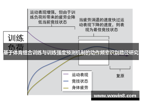 基于体育组合训练与训练强度预测机制的动作频率识别路径研究